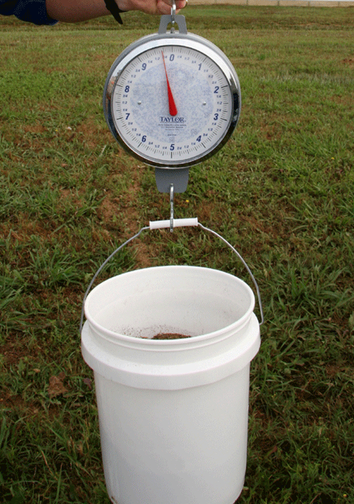 Image of step 6, weighing a bucket with a weight gauge
