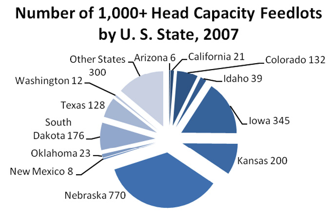 A pie chart showing the number of 1000+ head capacity feedlots: Arizona has 6, California 21, Colorado 132, Idaho 39, Iowa 345, Kansas 200, Nebraska 770, New Mexico 8, Oklahoma 23, South Dakota 176, Texas 128, Washington 12, other states 300.