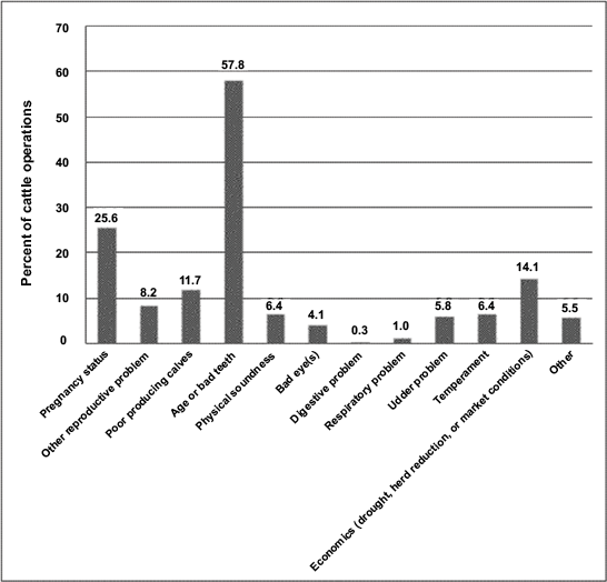 Pregnancy status: 25.6 percent; other reproductive problem: 8.2 percent; poor producing calves: 11.7 percent; age or bad teeth: 57.8 percent; physical soundness: 6.4 percent; bad eye(s): 4.1 percent; digestive problem: 0.3 percent; respiratory problem: 1 percent; udder problem: 5.8 percent; temperament: 6.4 percent; economics (drought, herd reduction, market conditions): 14.1 percent; other: 5.5 percent.