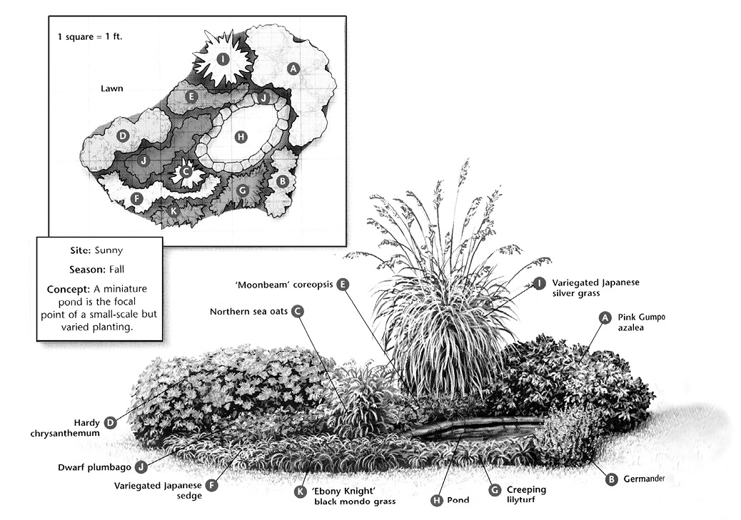 An example of a site plan for a sunny landscape in the fall season that is centered around a miniature pond and includes small-scale varied planting. 