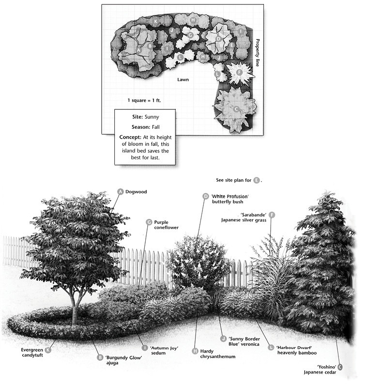 An example of a second design for a sunny, fall landscape that involves an island bed with small trees, borders, and varied ornamental grasses. 