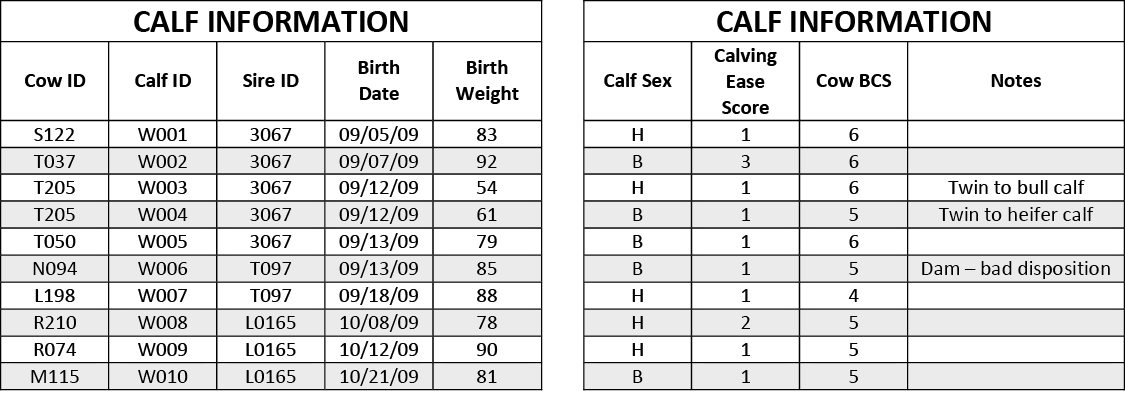 An example of calf information entries including cow ID, calf ID, sire ID, birthdate, birth weight, calf sex, calving ease score, cow BCS, notes. 