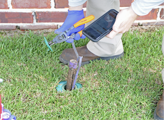 A person holds a smartphone next to a bait station in the ground.