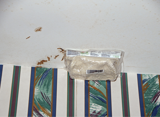 A plastic package of bait attached to the ceiling of a room with exposed mud tubes.