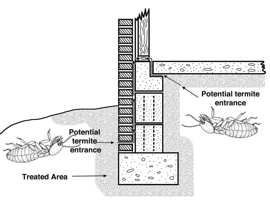 Illustration showing a termiticide treatment band around the perimeter of a building