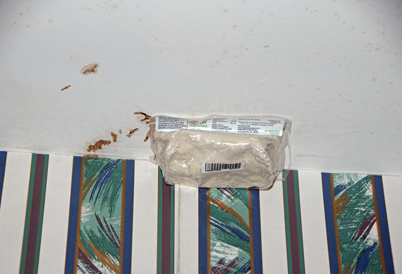 A plastic bag of whitish termite bait attached to the ceiling in a house. The ceiling has brown stains from termite activity.