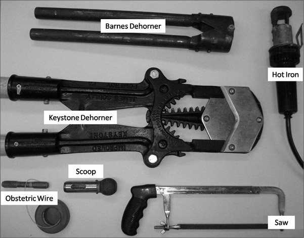 The following dehorning tools are displayed on a flat surface: barnes dehorner, hot iron, keystone dehorner, obstetric wire, scoop, and saw.