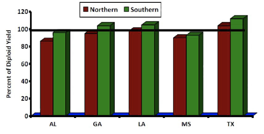 Percent total season forage yield of tetraploid cultivars compared to diploid cultivars within two regions (northern and southern) at five test sites in SE U.S.: Northern Alabama at about 90%; Southern Alabama at about 100%; Northern Georgia at about 100%; Southern Georgia at about 110%; Northern Louisiana at just over 100%; Southern Louisiana at about 110%; Northern Mississippi at about 90%; Southern Mississippi at about 95%; Northern Texas at about 110%; Southern Texas at almost 120%