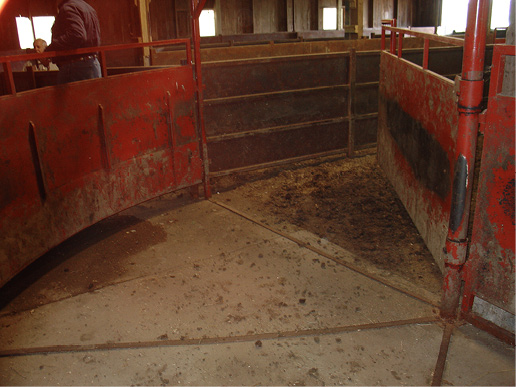 Non Slip Flooring for Livestock Handling