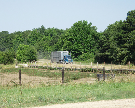 A semi truck driving down a road lined with green trees. 