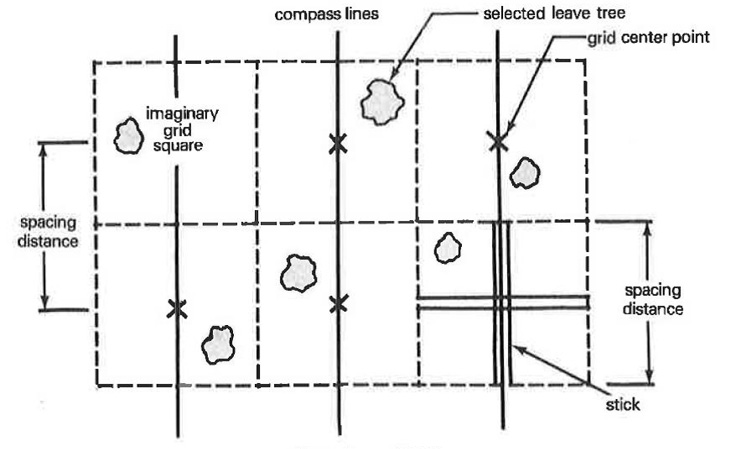 Diagram showing a leave-tree spacing grid. It shows compass lines, grid center points, and selected leave trees within each grid square.