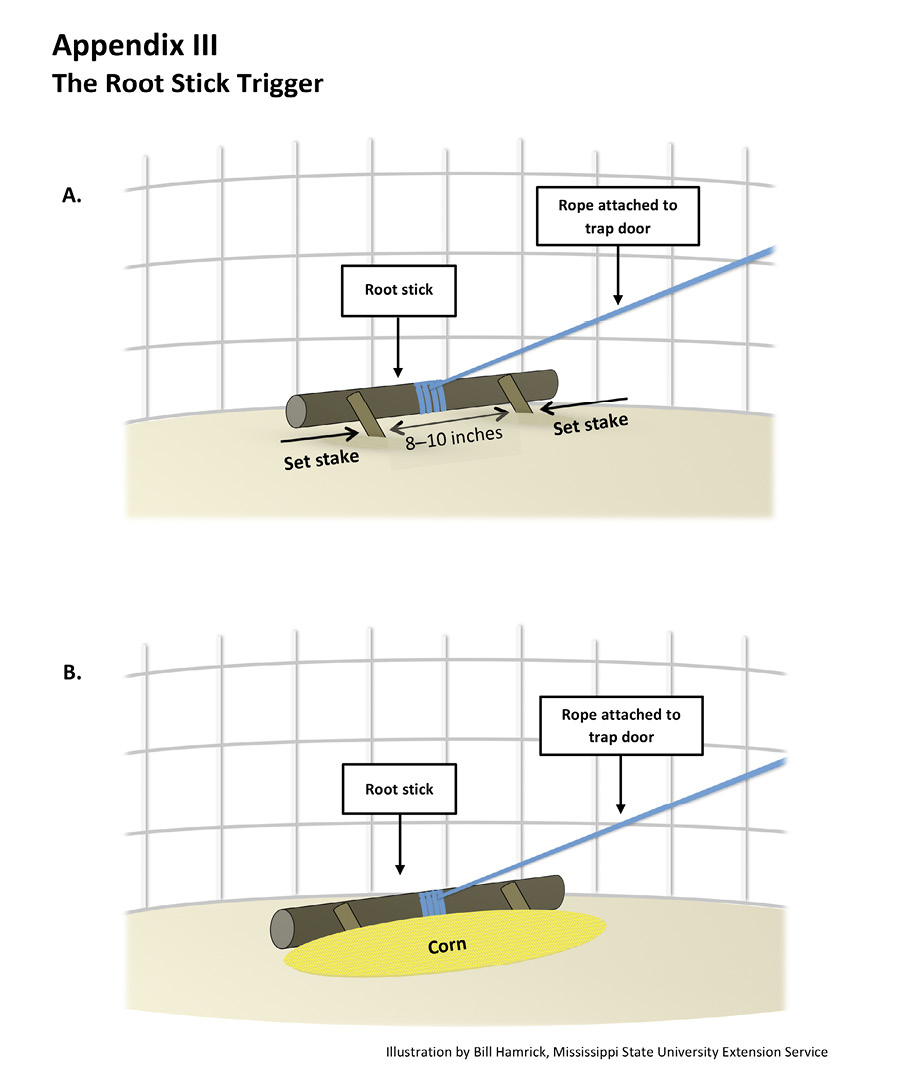 Appendix III. The root stick trigger. Diagram A shows a root stick with a rope at its center and attached to the trap door. Set stakes spaced 8 to 10 inches apart hold the root stick in place. Diagram B shows the same setup with a mound of corn covering the ground in front of the root stick.