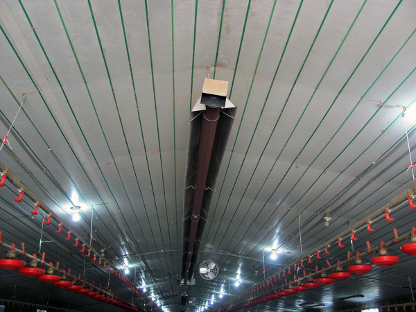 A tube heater hangs from the center of the broiler house roof. 