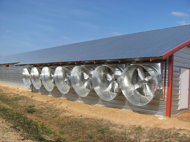 Seven large metal fans on the side of a metal-plated broiler house.