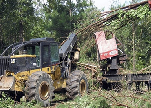 A large machine loads timber waste piles onto a trailer.