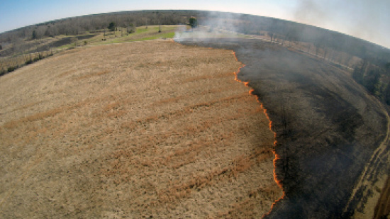 A line of fire moves across a brown field. 
