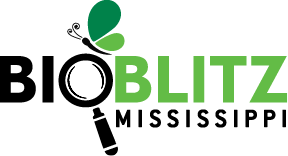 The BioBlitz Mississippi logo has a butterfly and magnifying glass.