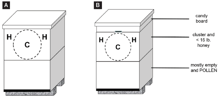 Description in caption. For B, the image shows a candy board at the top of the chamber. Under the candy board is the cluster and less than 15 pounds of honey. The bottom section is labeled "mostly empty and pollen."