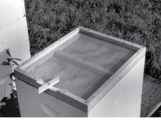 A colony box with a wood-framed screen on top.