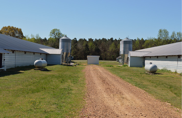 A small metal well house between two poultry houses.