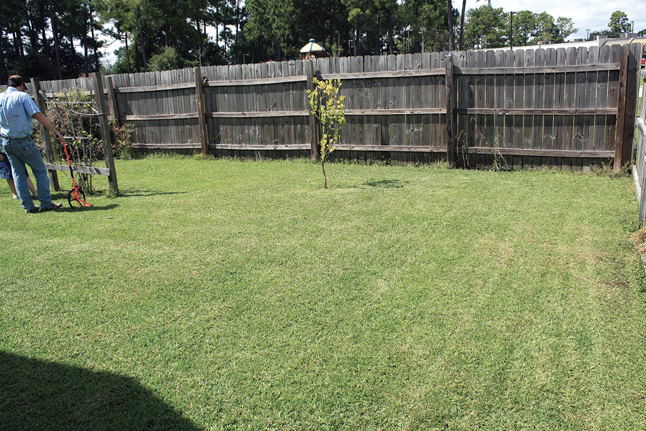 A level yard that is fully exposed to sun.