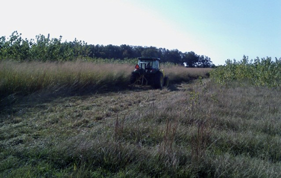 A bush hog mows vegetation in an agricultural field.