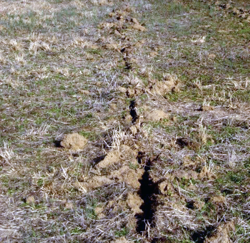 A narrow trench in an agricultural field. Some dirt clods and vegetation are visible along the sides of the trench.