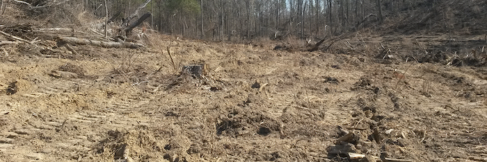 Rough dirt ground with trees in the background.