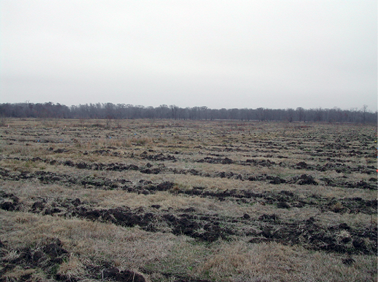 Large agricultural field with rows of plowed dirt.