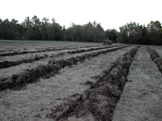 Large agricultural field with rows of plowed dirt and a tractor in the background.