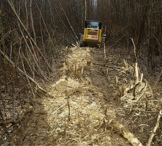 A large piece of equipment in a hardwood forest. The foreground shows stumps of large-diameter woody stems that have been mulched.