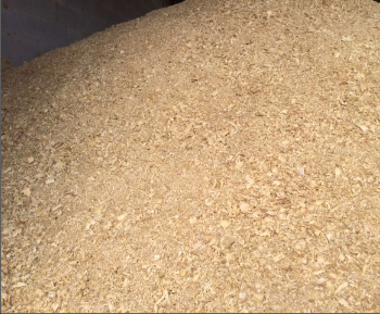 A large pile of pine shavings.