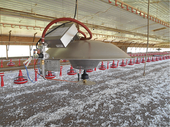 A round, metal brooder hanging from the ceiling of a poultry house. It has wires coming from it and a rectangular box attached to it.