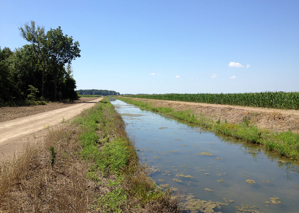 Full tailwater recovery ditch in the Mississippi Delta.