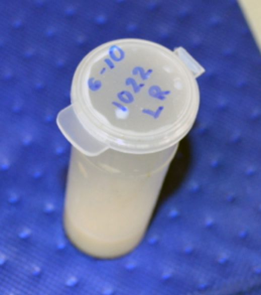 A milk sample in vial with the date printed on lid.
