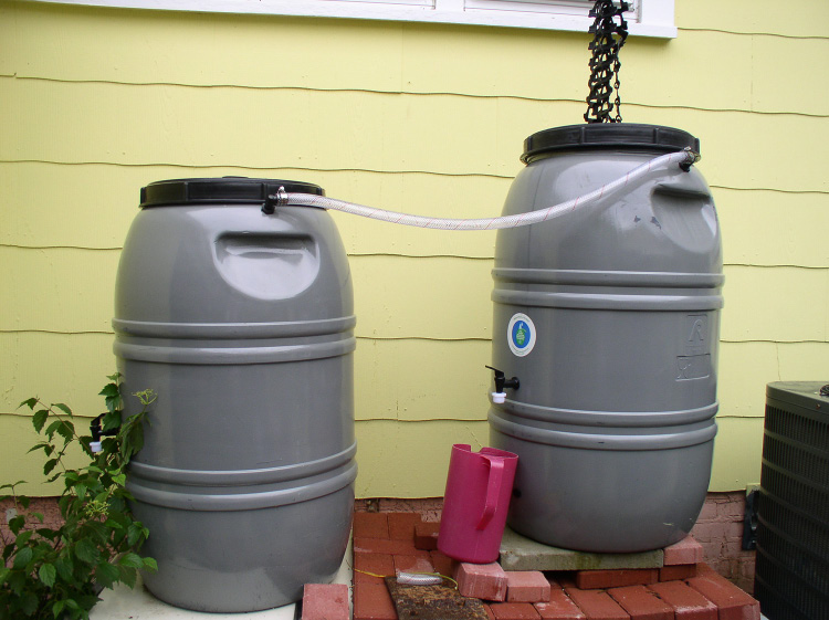Two rain barrels on a sturdy base of bricks and concrete are linked so that, as one fills, any overflow goes into the other container. 