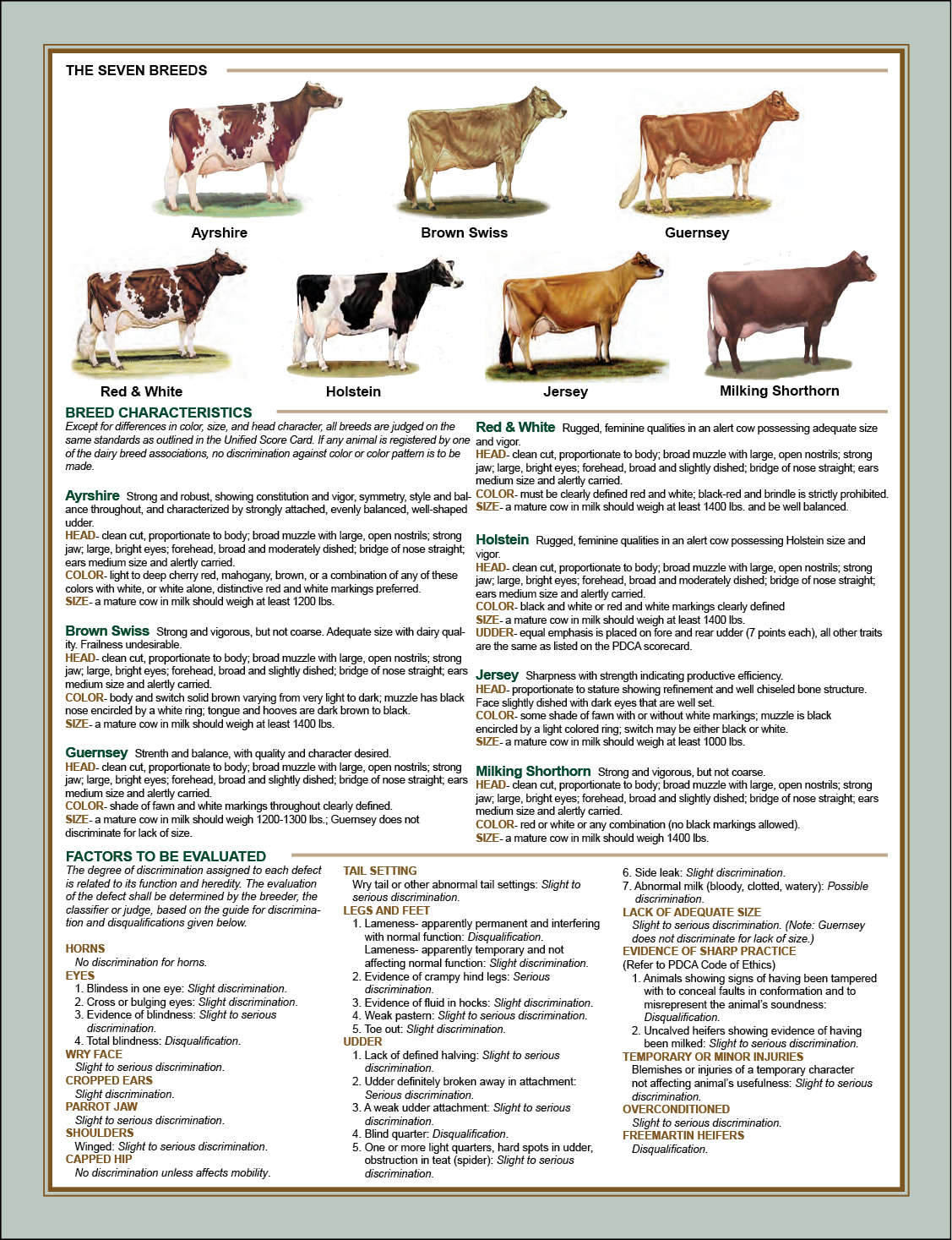 The seven breeds of cows are explained.