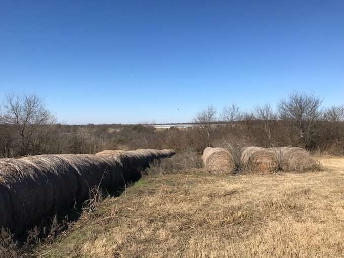 a row of round bales of hay in a pasture