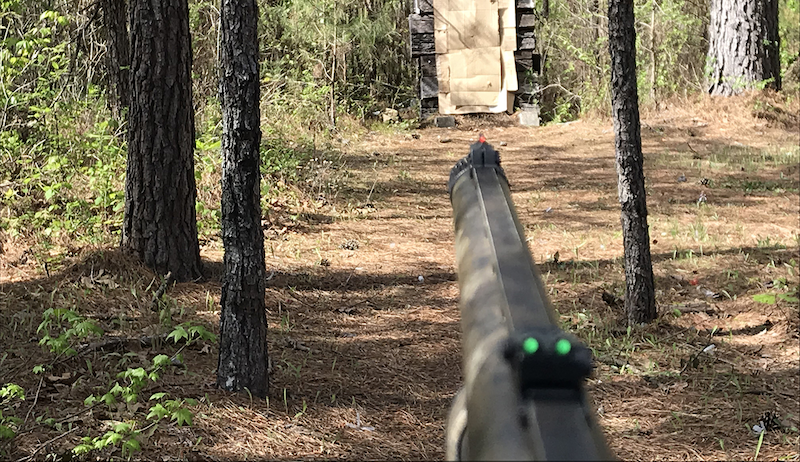 A shotgun points at a target in a wooded area.