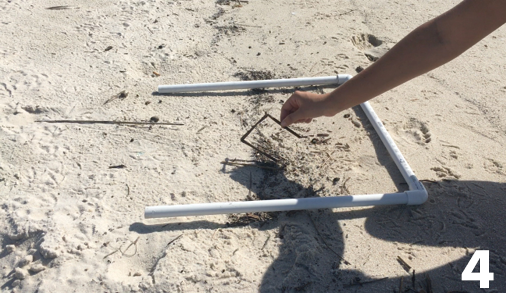 Photo 4: A researcher is shaking off sand from the removed debris.