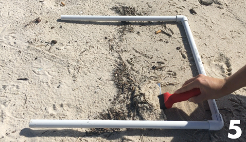 A researcher is using a scoop to collect top 3 cm of sand into the center of the quadrat.