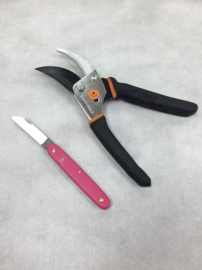 Knife and pruners.