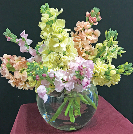 A short, round vase full of pastel-colored flowers.