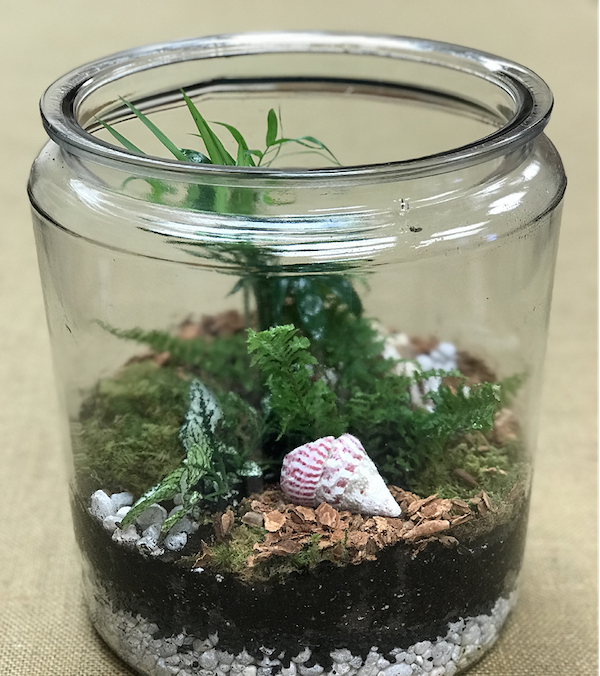 How to Design a Closed System Terrarium Mississippi State