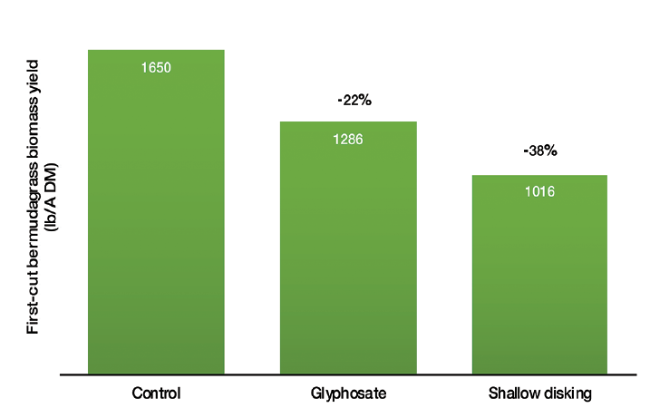 A bar chart shows the first-cut bermudrass biomass yield recovery: control, 1,650; glyphosate 1,286 (-22 percent); and shallow disking, 1,016 (-38 percent).