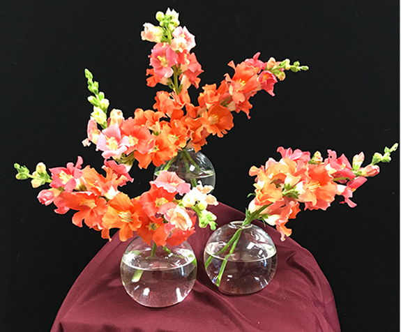 Snapdragon stems in three small, round, glass vases arranged to make a centerpiece.