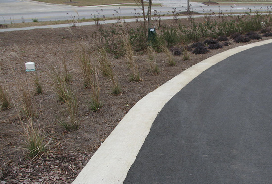 Bioswale between two roads with a PVC cap in the center.