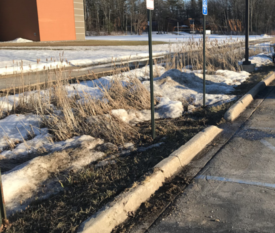 Figure 3. Use depressed landscape islands in parking lots to catch, filter, and allow water to infiltrate, instead of elevated curbs that direct water into storm drains.