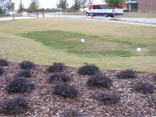 Figure 4. This detention basin holds water temporarily and allows sediment and excess nutrients a chance to settle out or be remediated/removed before water flows into a bioswale below it (Figure 2). The white caps are “bubble-ups” from storm sewers draining the roadway. The exit point is not visible but is a grated floor drain into a schedule 3034 (green PVC) 8-inch pipe.