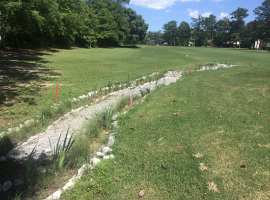 Figure 10. This is the same bioswale pictured in Figure 9 after grass plantings to provide a buffer for improving water quality.